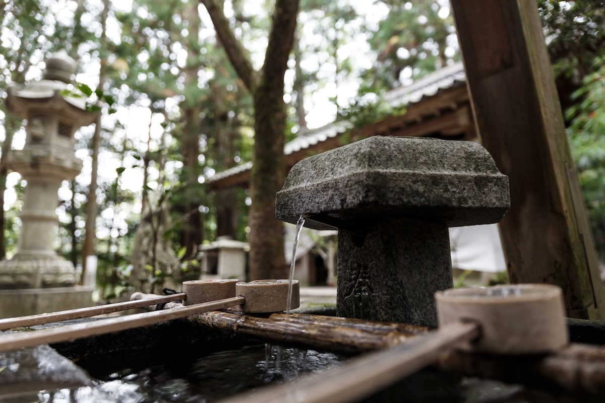 primer-plano-del-agua-contra-los-arboles